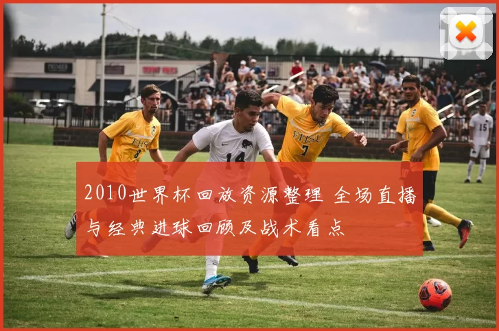 2010世界杯回放资源整理 全场直播与经典进球回顾及战术看点